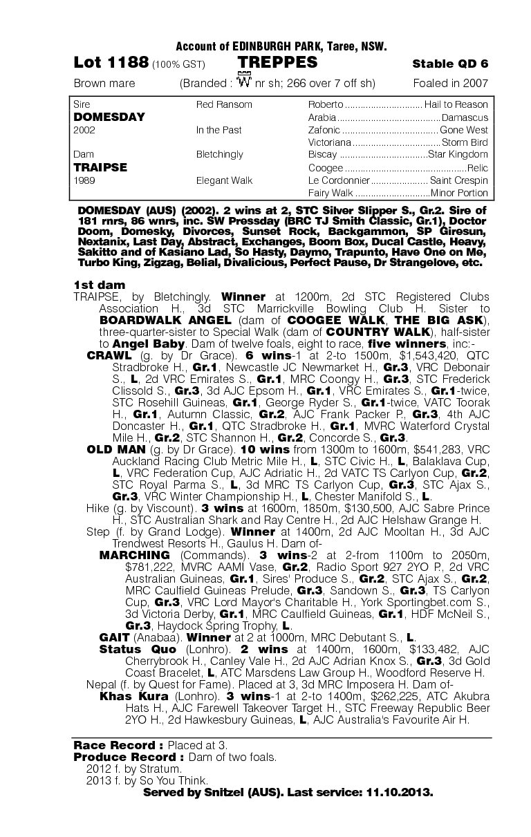 Treppes (AUS) - pedigree