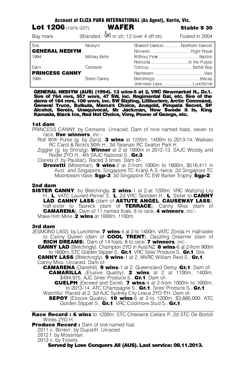 Wafer (AUS) - pedigree