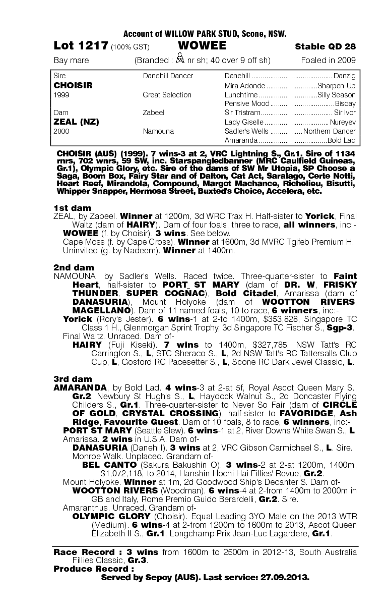 Wowee (AUS) - pedigree