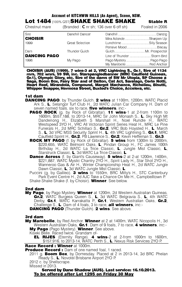 Shake Shake Shake (AUS) - pedigree