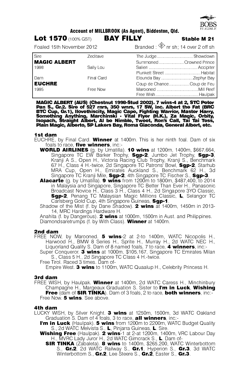 Another Project (AUS) - pedigree