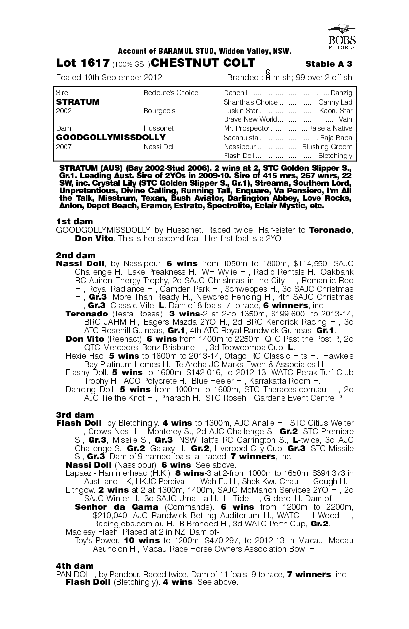 Stratum (AUS) / Goodgollymissdolly (AUS) - pedigree