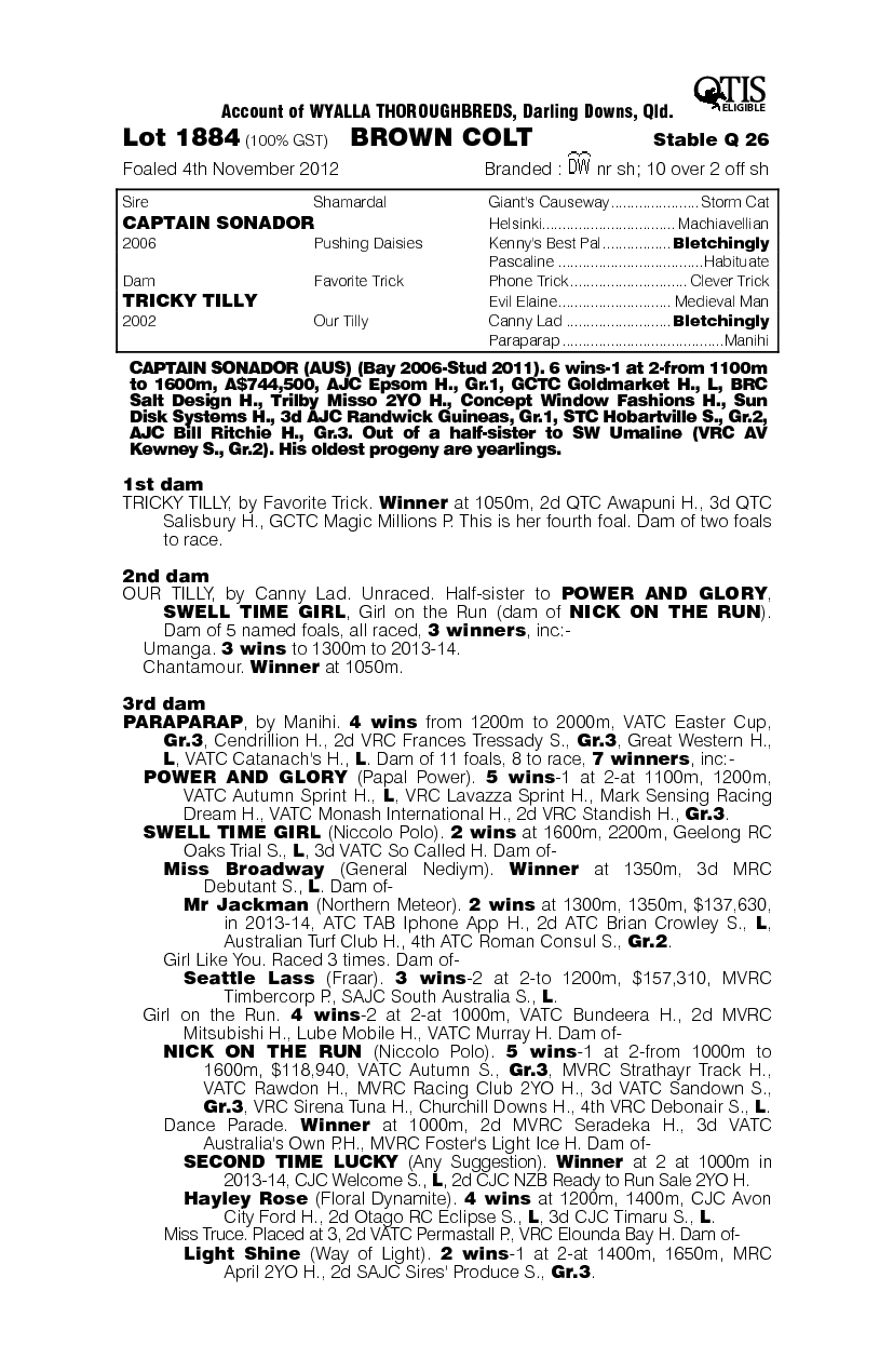 Sonador Cellar (AUS) - pedigree