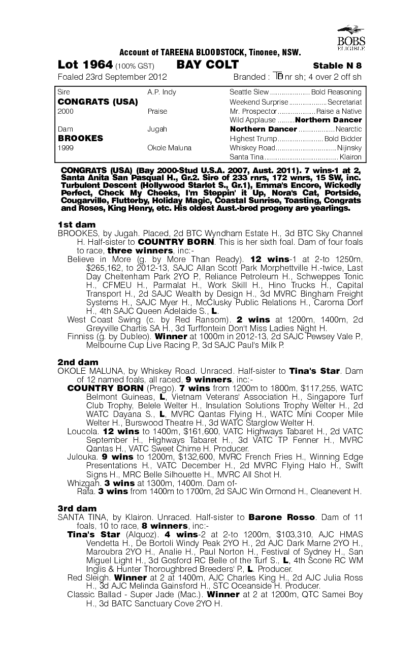 Congrats (USA) / Brookes (AUS) - pedigree