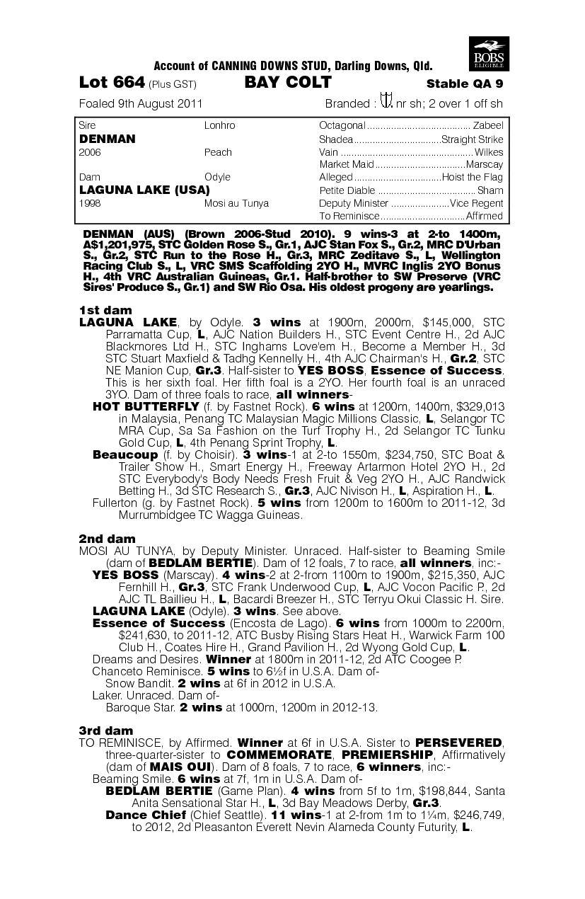 Man Cave (AUS) - pedigree