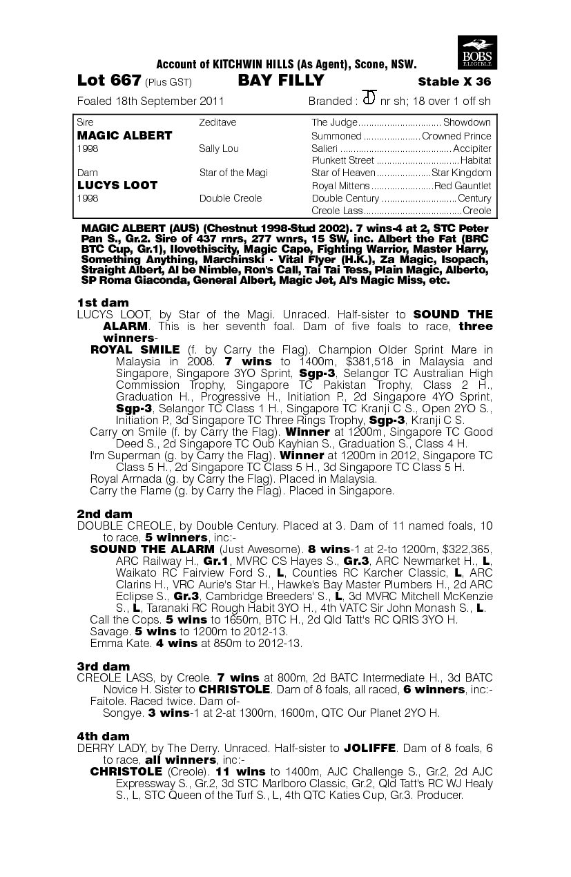 Magic Loot (AUS) - pedigree