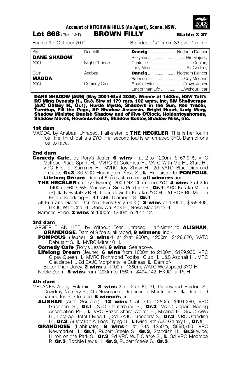 Shadow Boss (AUS) - pedigree