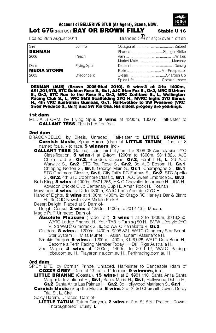 Breaking Story (AUS) - pedigree