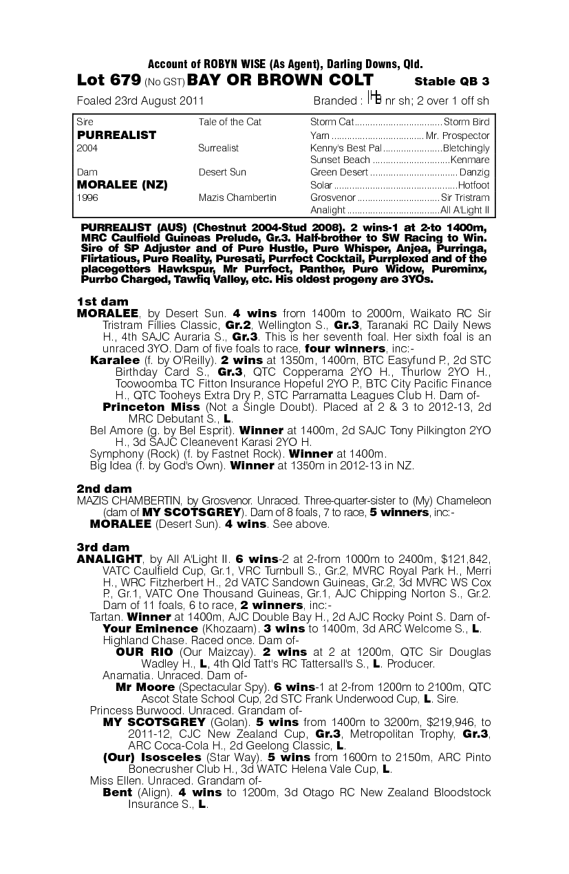 Pure Addiction (AUS) - pedigree