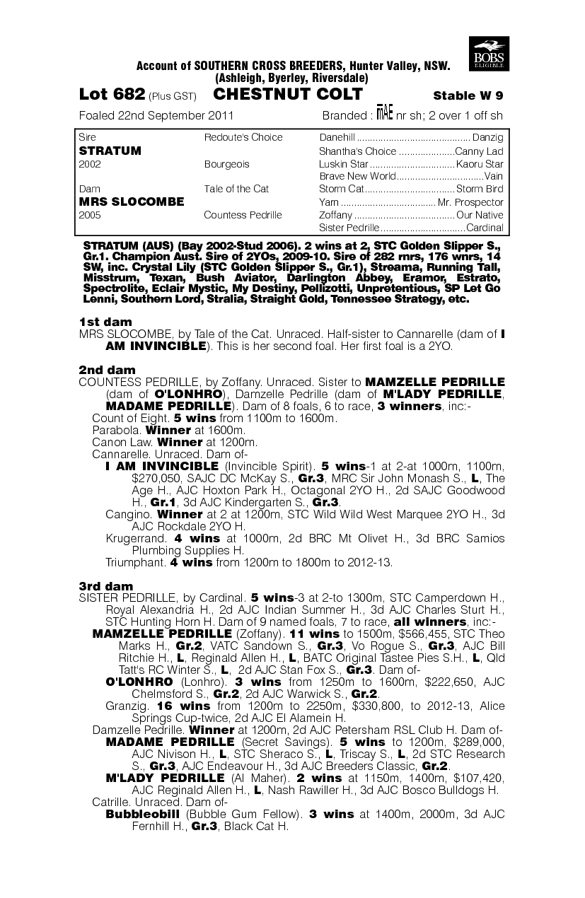 Sun Bull (AUS) - pedigree