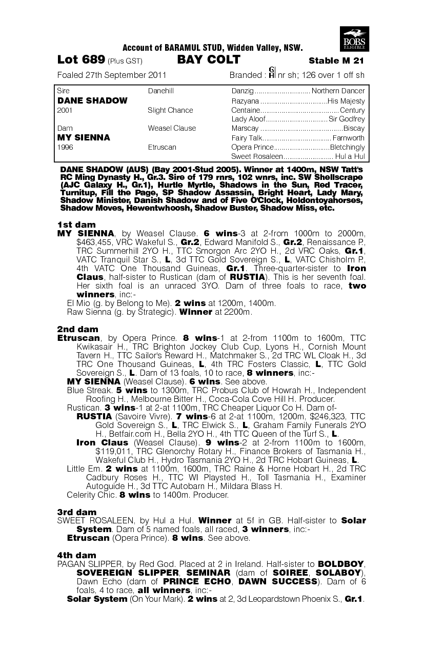 Chigi (AUS) - pedigree