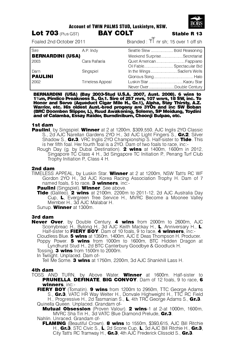 Splendini (AUS) - pedigree
