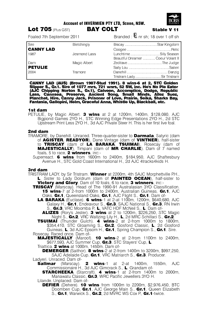 Can I Have (AUS) - pedigree