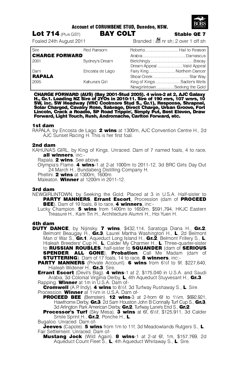 Run At Me (AUS) - pedigree