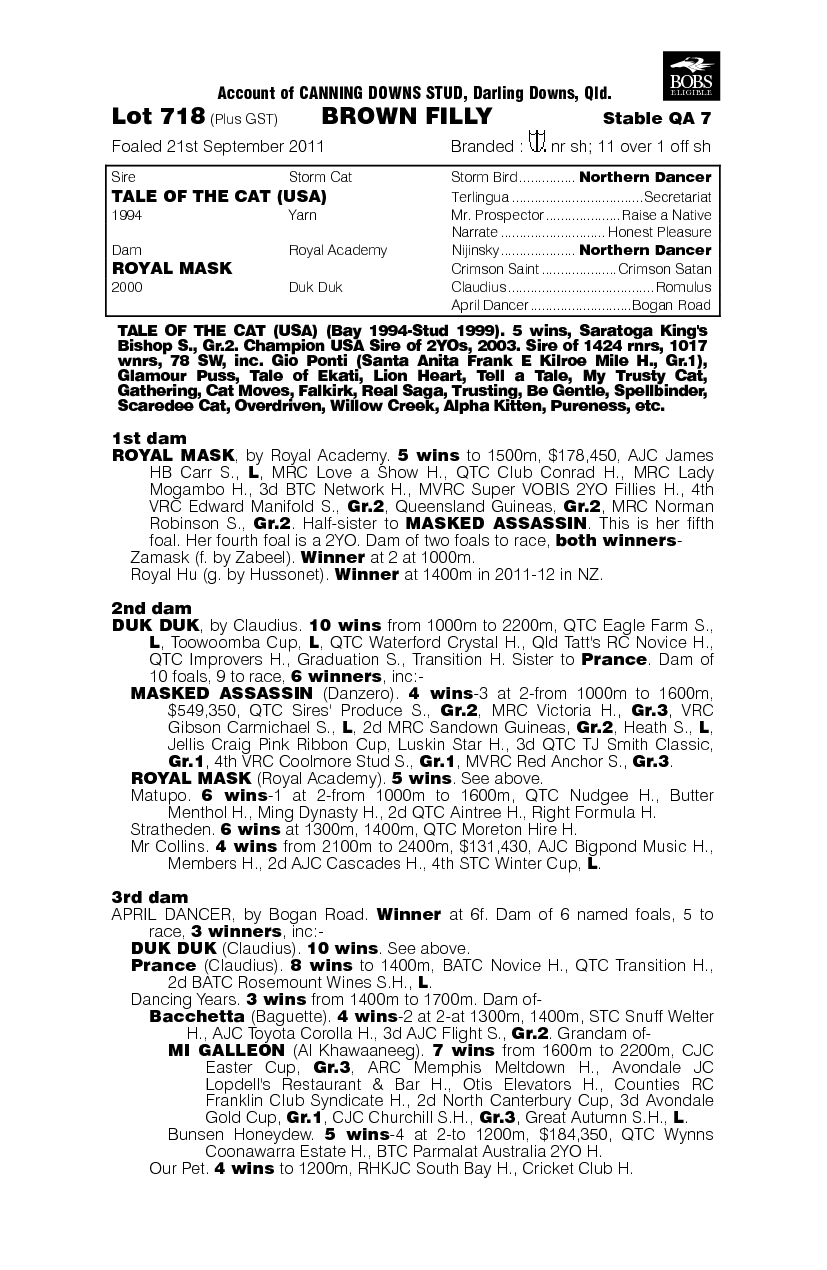 What's New (AUS) - pedigree