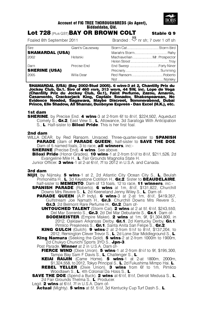 Dalshamar (AUS) - pedigree