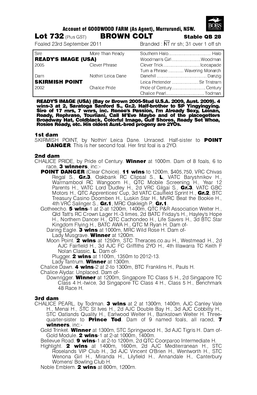 Ready's Image (USA) / Skirmish Point (AUS) - pedigree