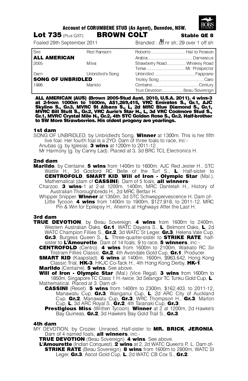 Kurmond Road (AUS) - pedigree