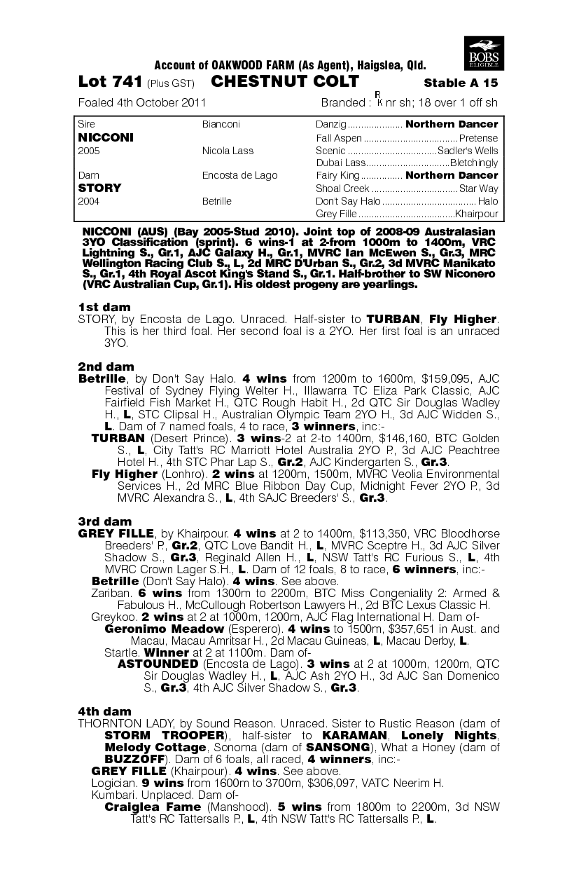 Nicconi (AUS) / Story (AUS) - pedigree