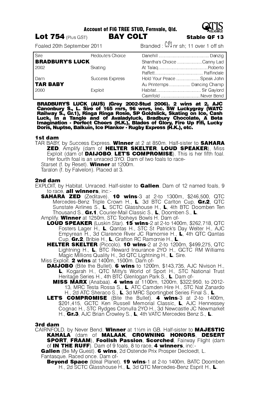 Bradbury's Luck (AUS) / Tar Baby (AUS) - pedigree
