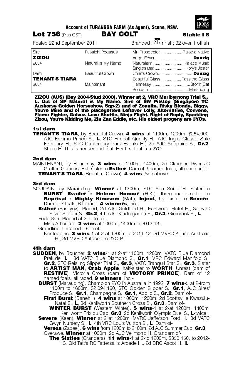 Zizou (AUS) / Tenant's Tiara (AUS) - pedigree