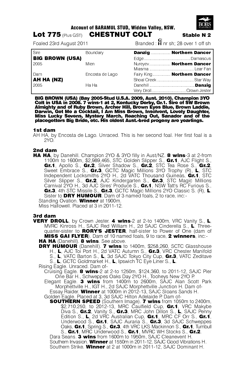 Big Brown (USA) / Ah Ha (NZ) - pedigree