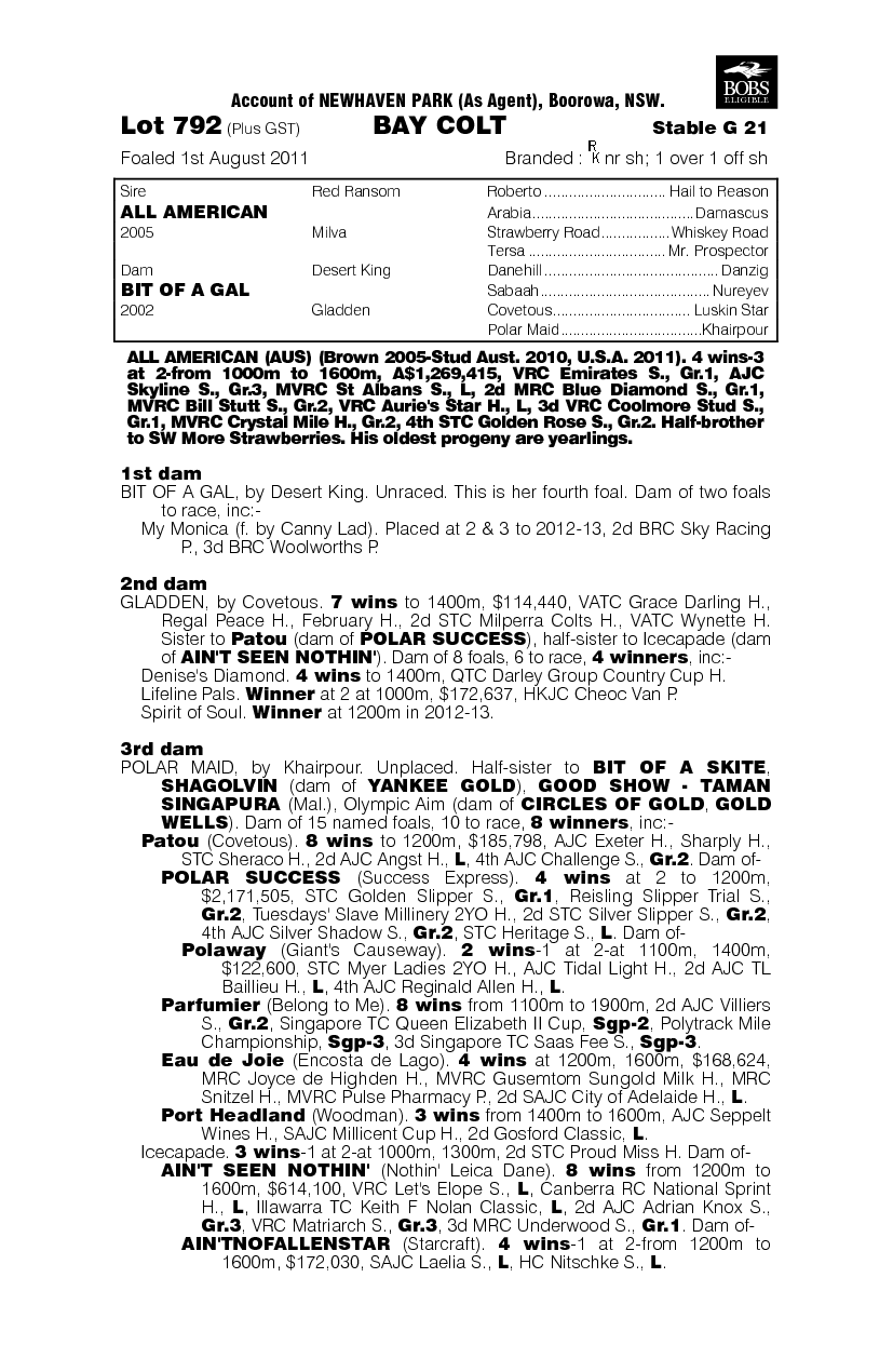 All American (AUS) / Bit Of A Gal (AUS) - pedigree