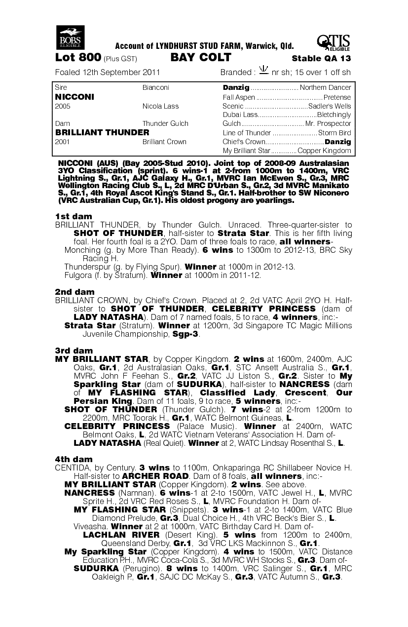 Little Ted (AUS) - pedigree