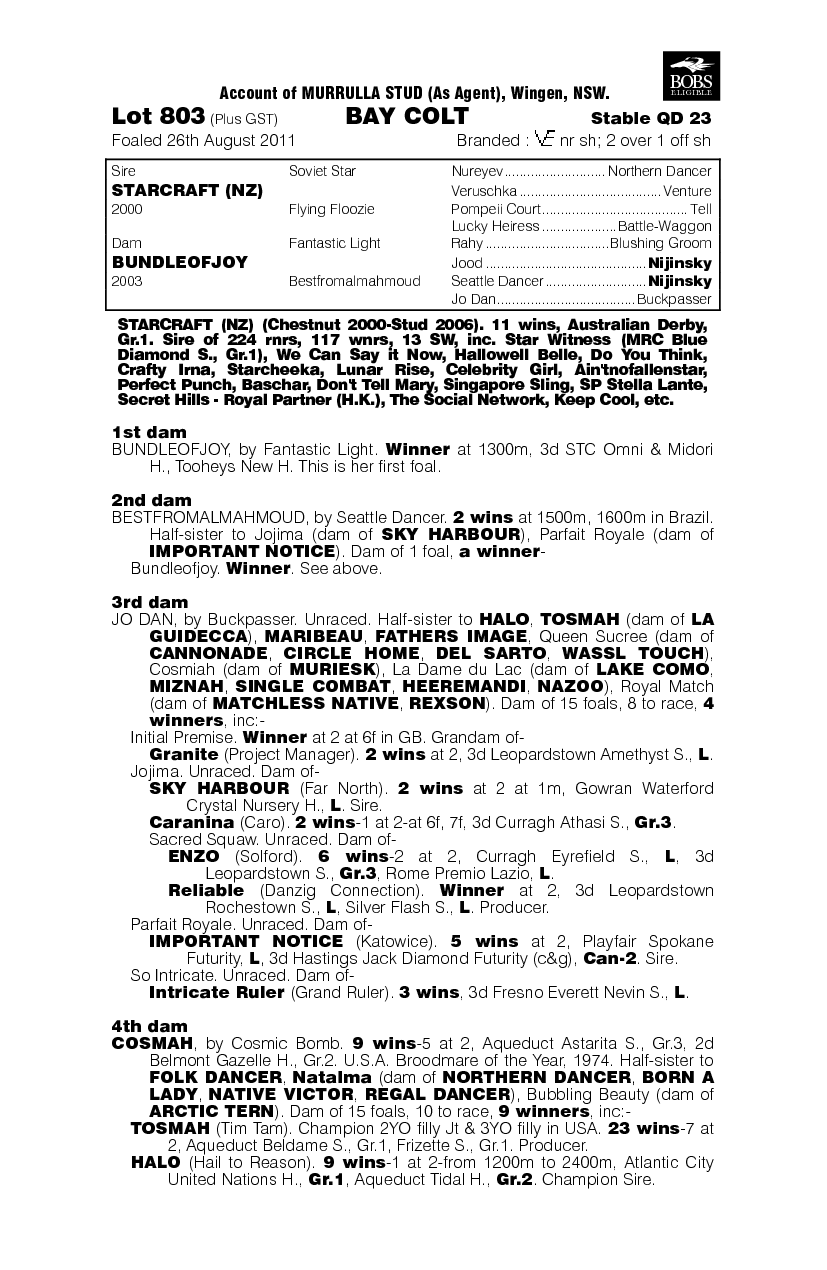 Count Cosmah (AUS) - pedigree