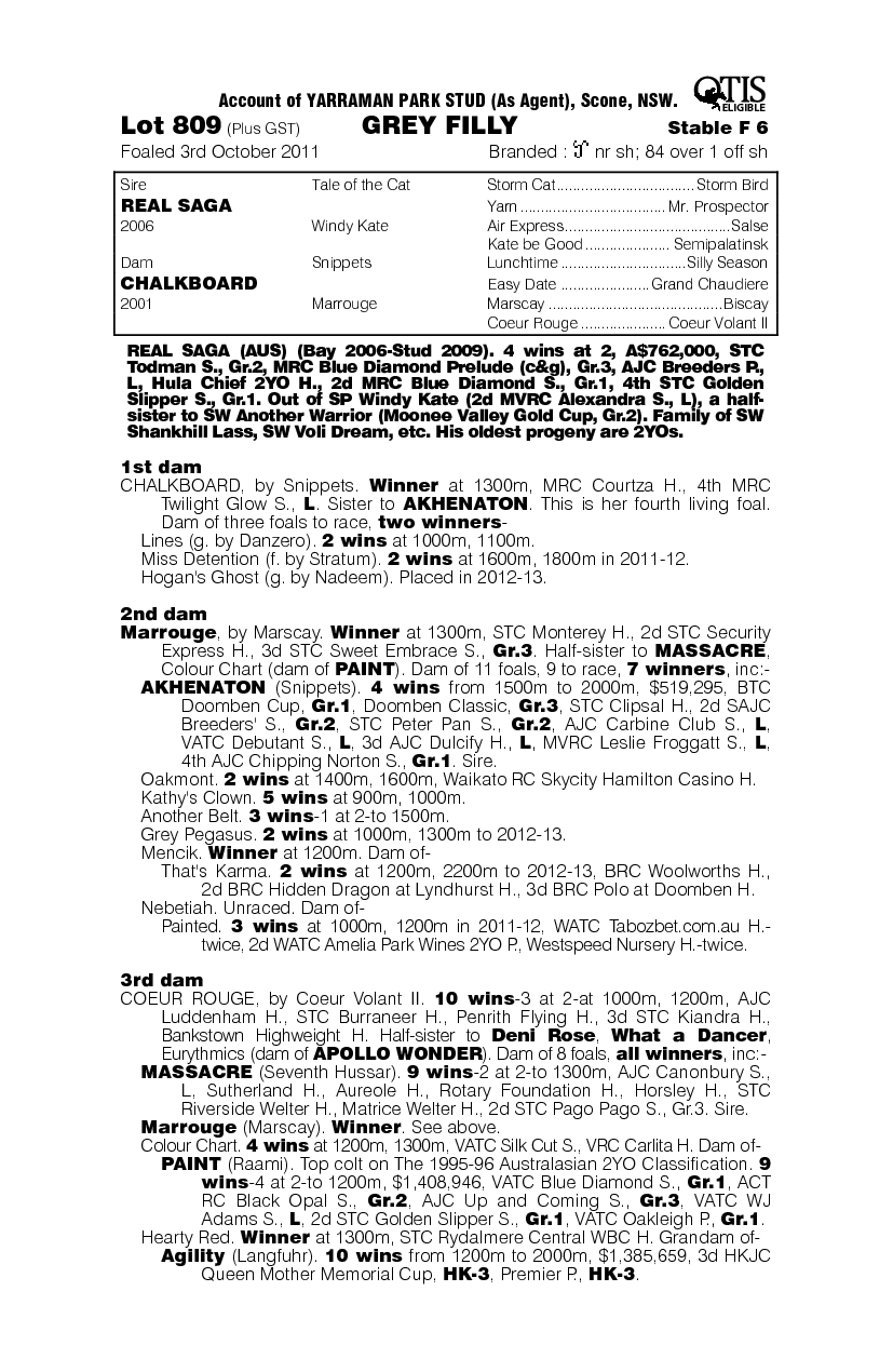 Chalk It Up (AUS) - pedigree