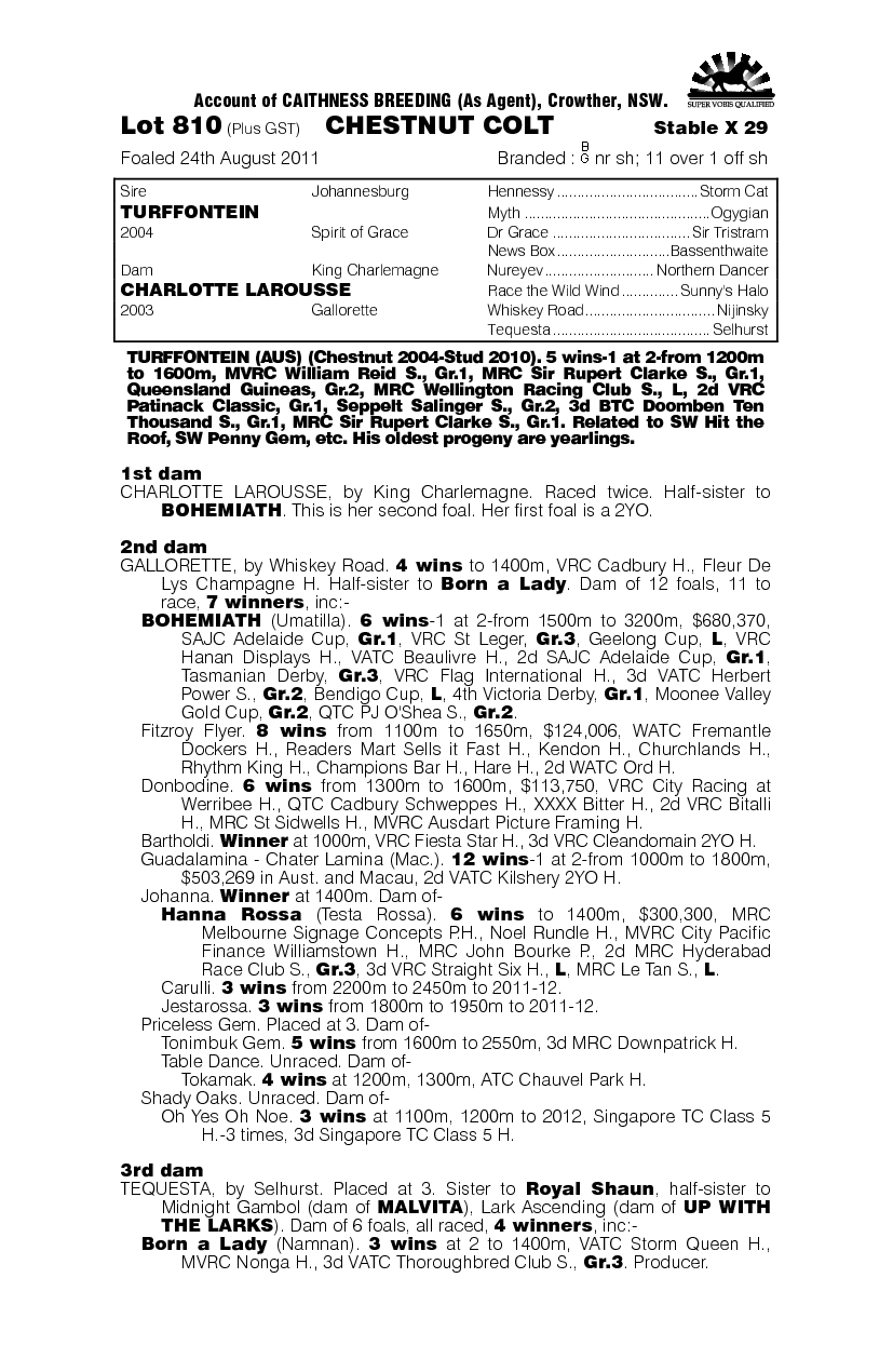 Turffontein (AUS) / Charlotte Larousse (AUS) - pedigree