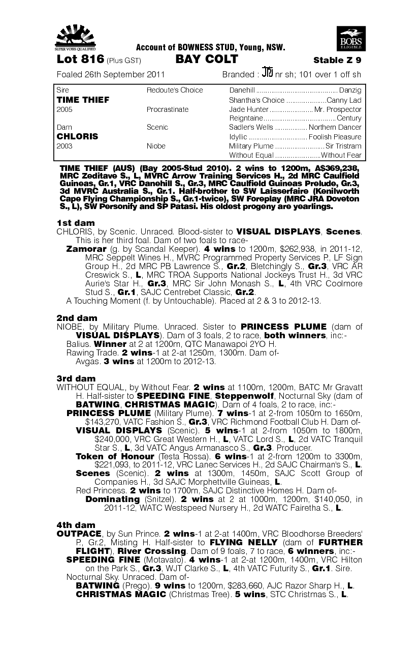 Madden (AUS) - pedigree