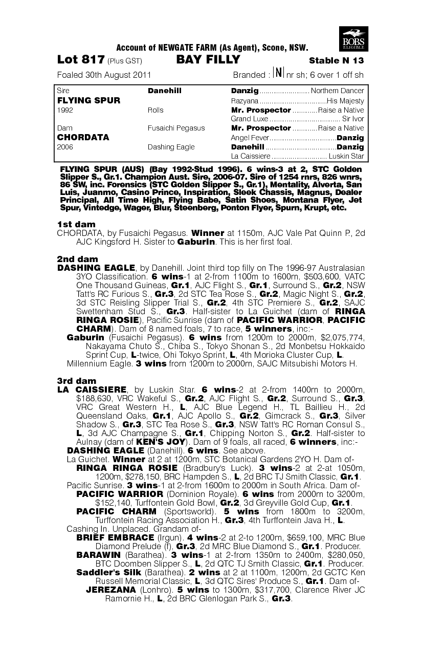 Miss Flying Spur (AUS) - pedigree