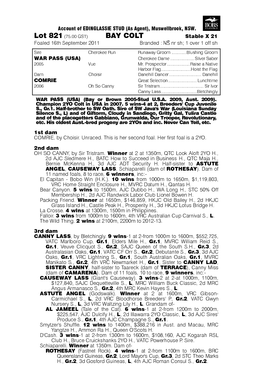 Master Gold (AUS) - pedigree