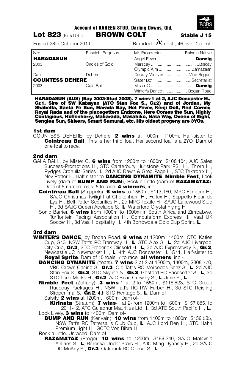 Divine Service (AUS) - pedigree