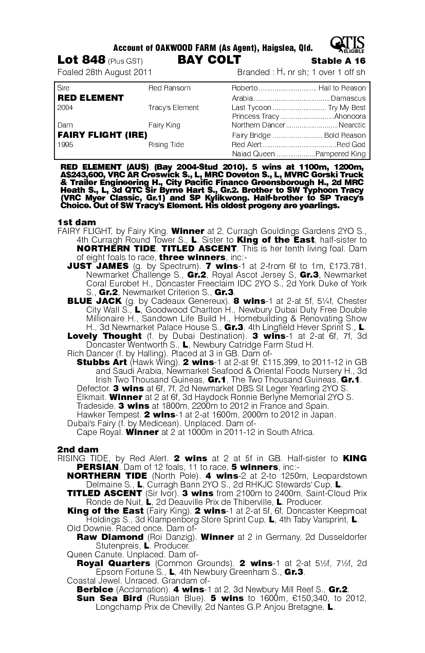 Element Jack (AUS) - pedigree