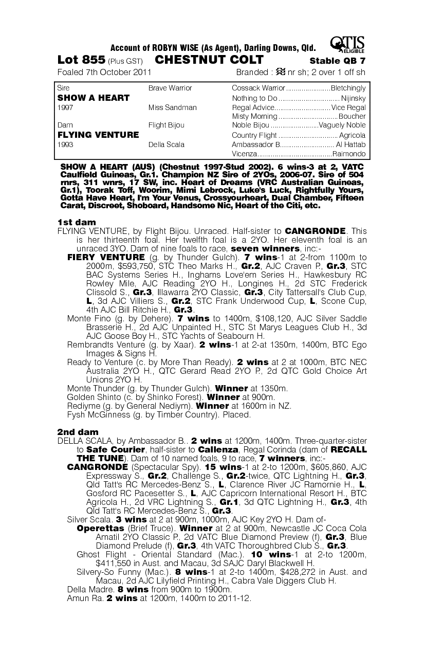 Show A Heart (AUS) / Flying Venture (AUS) - pedigree
