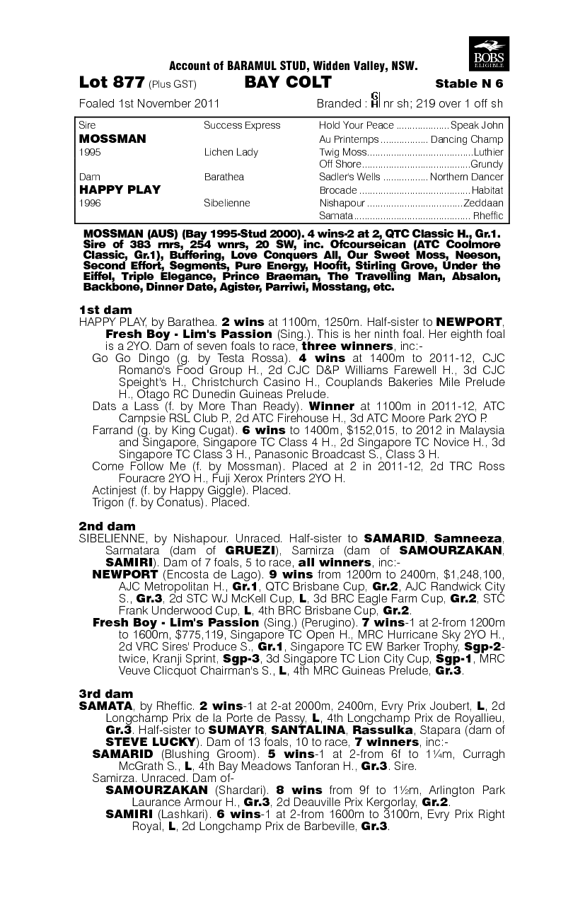 Toppa Dawozza (AUS) - pedigree