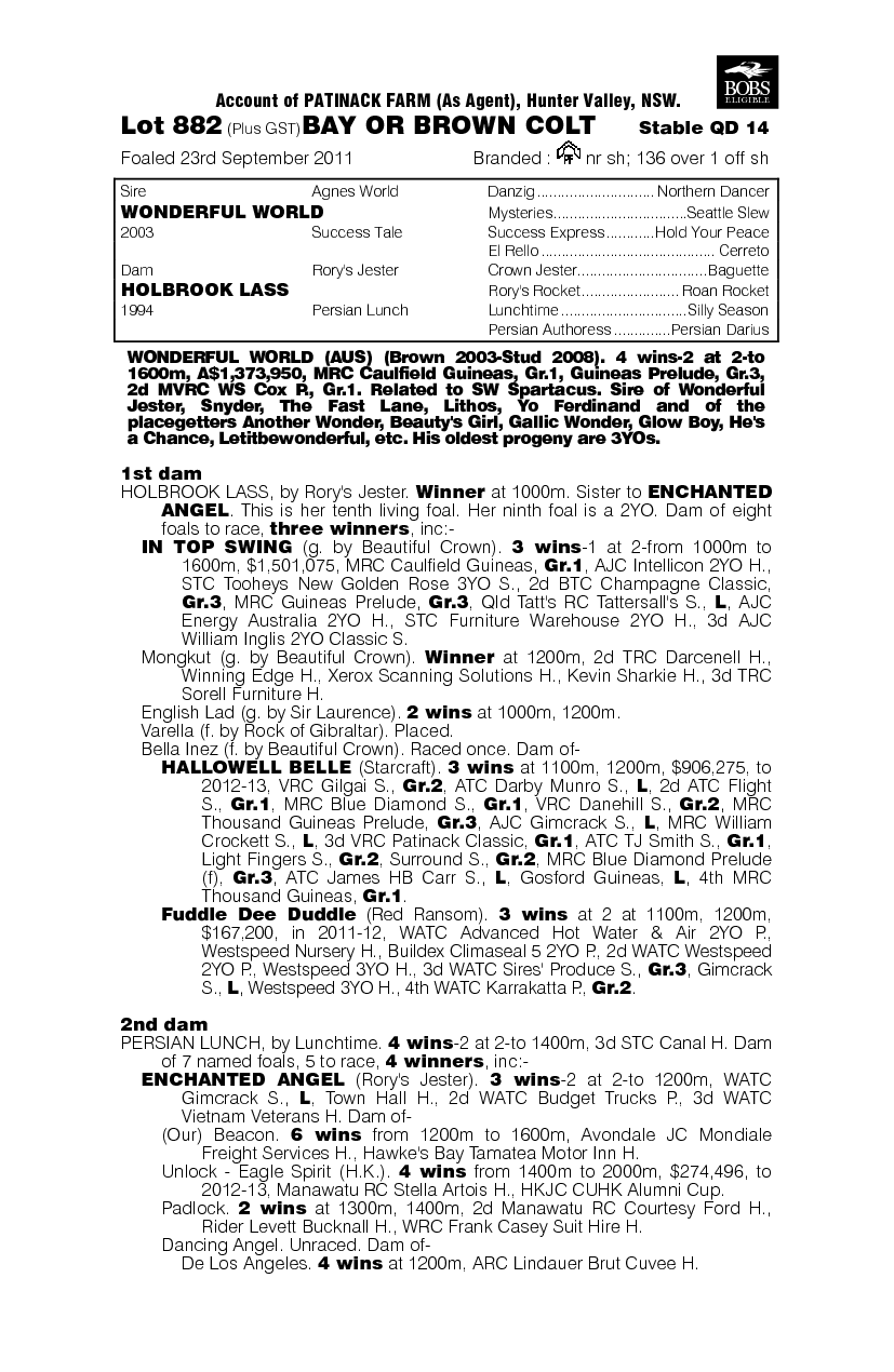 Wonderful World (AUS) / Holbrook Lass (AUS) - pedigree