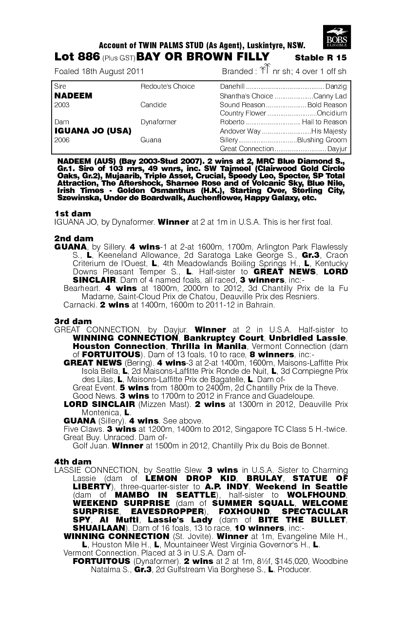 Ammirata (AUS) - pedigree