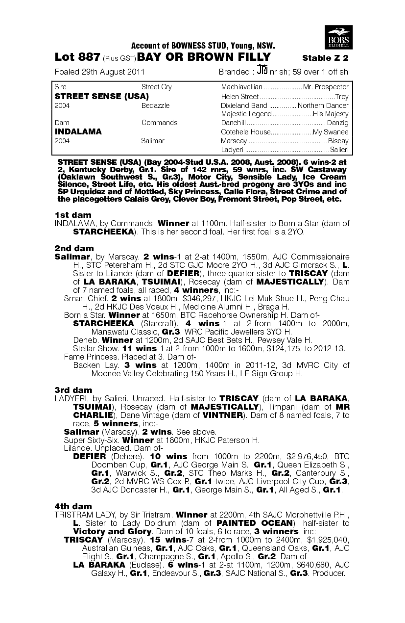 Persist (AUS) - pedigree