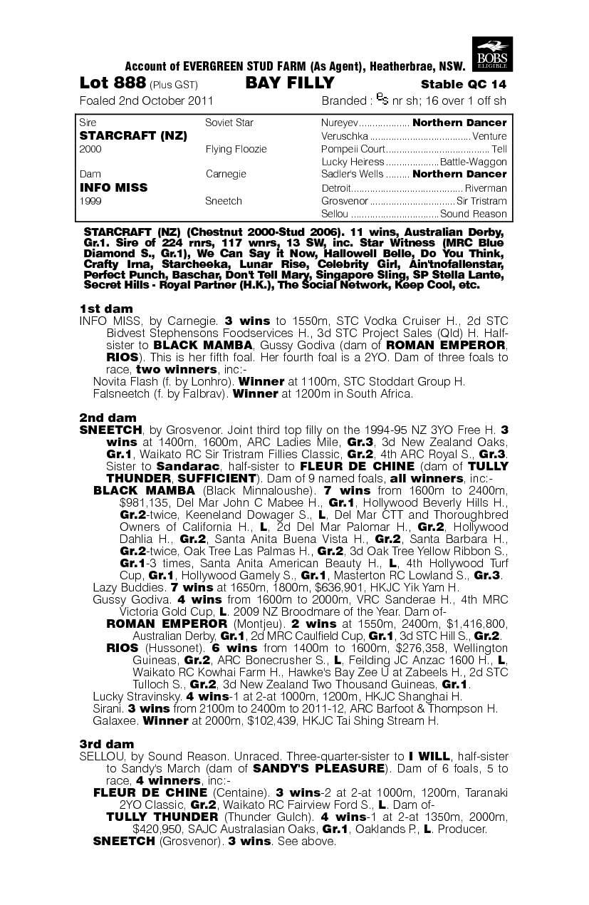 Fantasy Quest (AUS) - pedigree