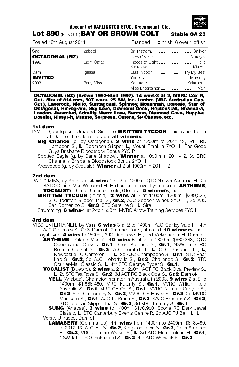 Accepting (AUS) - pedigree