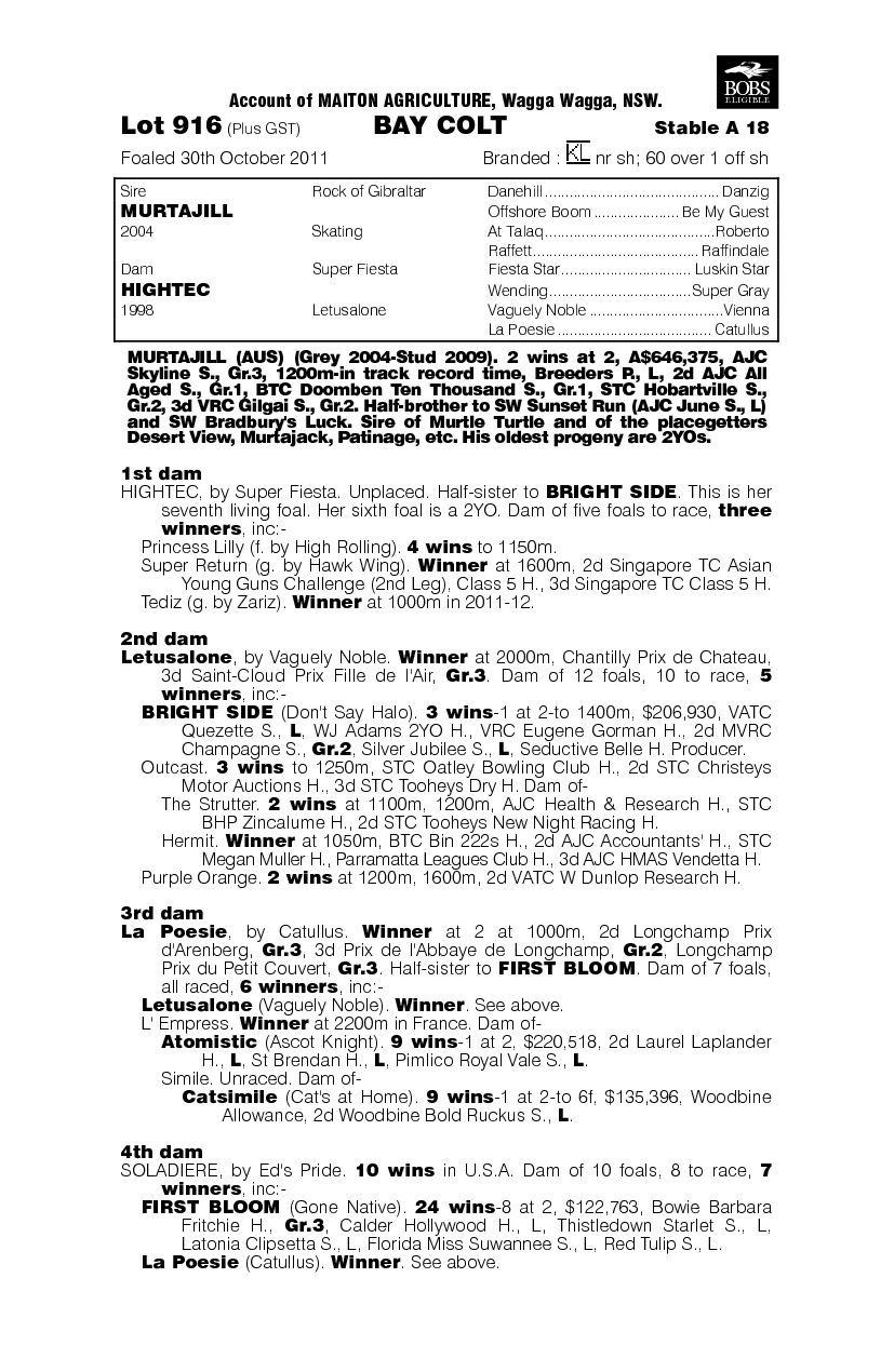 Murtajill (AUS) / Hightec (AUS) - pedigree