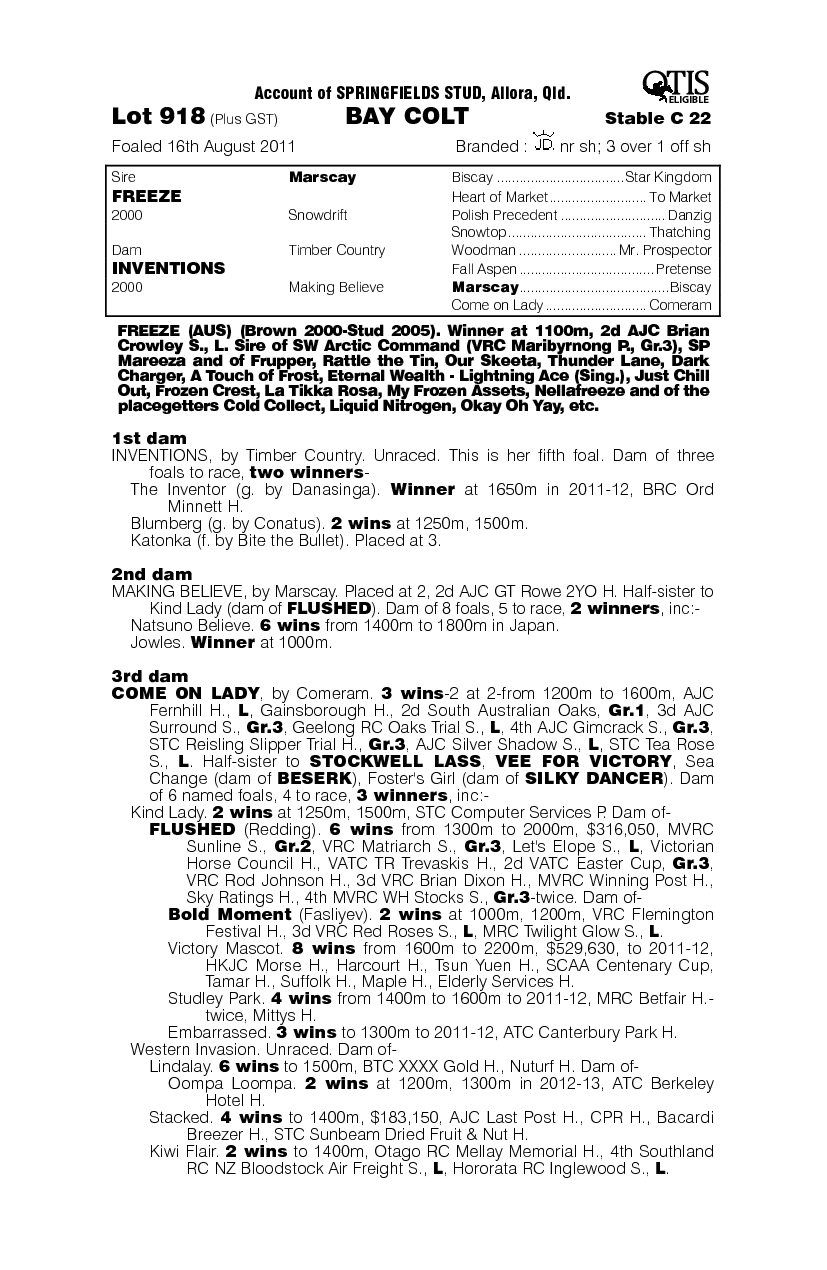 Frozen Idea (AUS) - pedigree