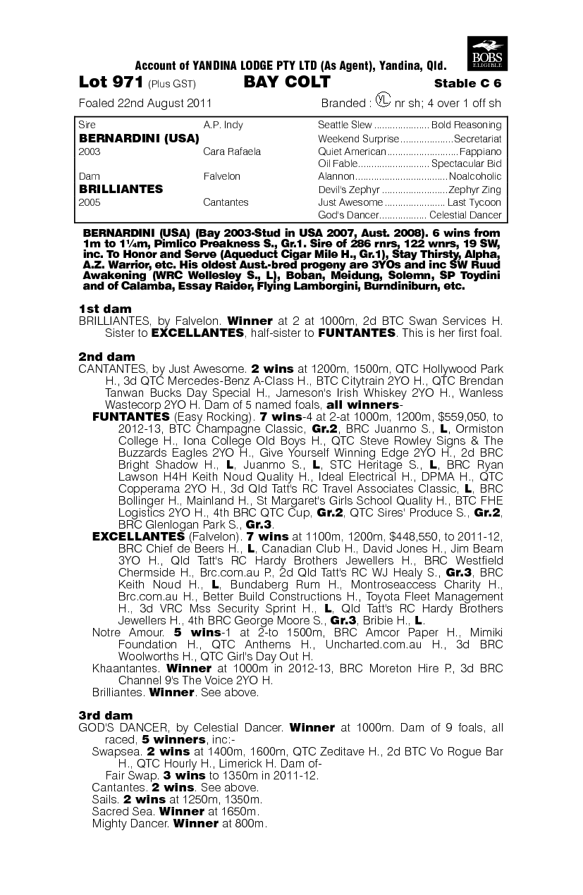 Betcher (AUS) - pedigree