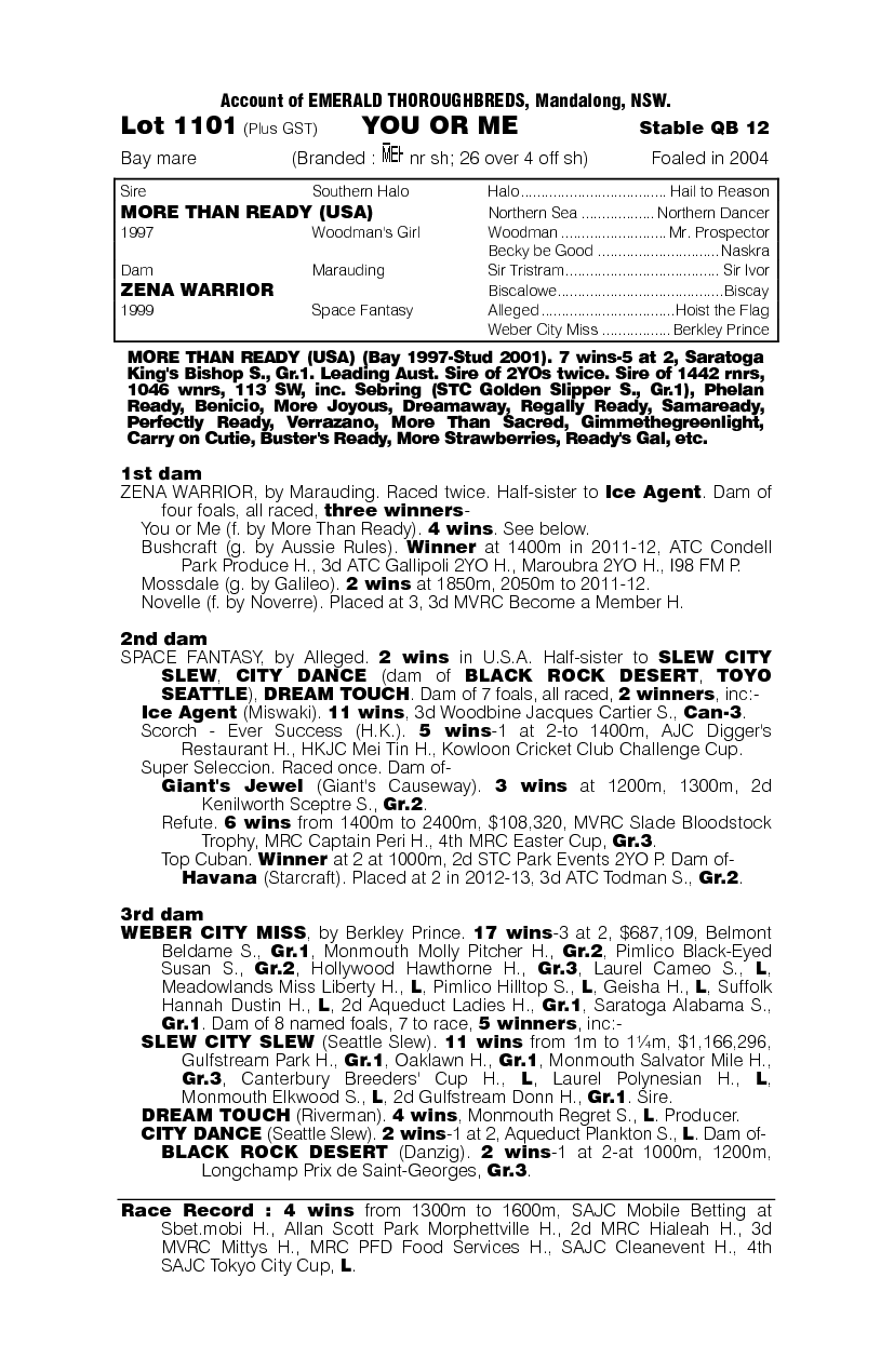 You Or Me - pedigree