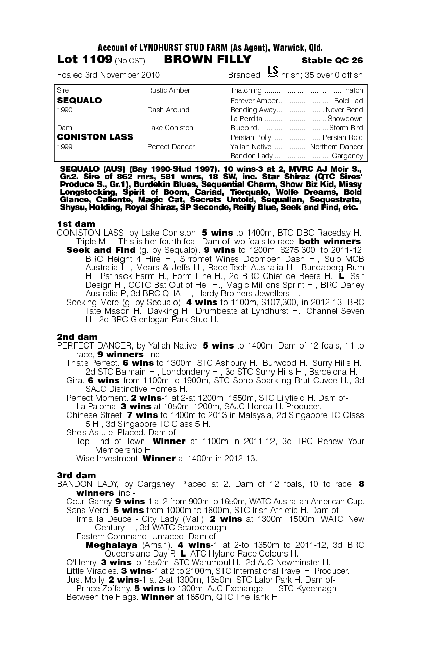 Qualo Lady (AUS) - pedigree