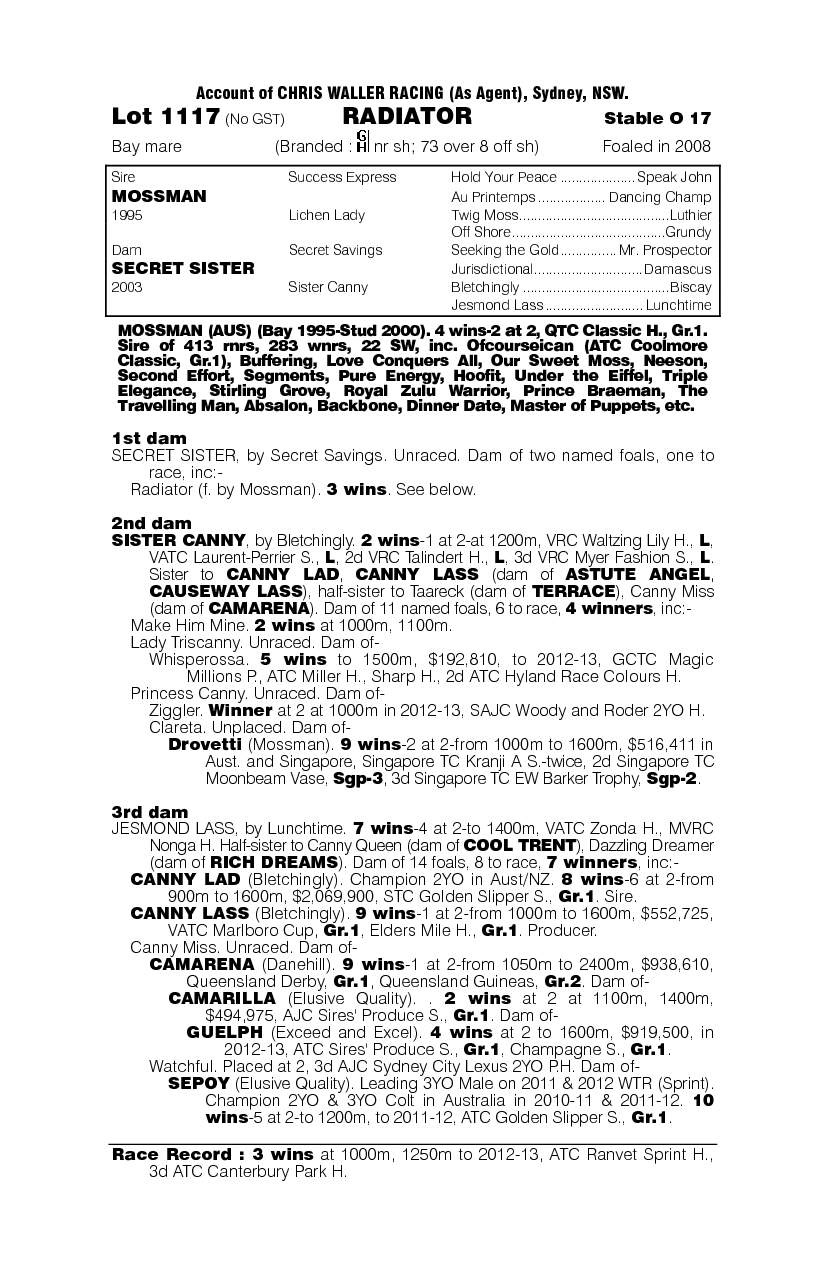 Radiator (AUS) - pedigree