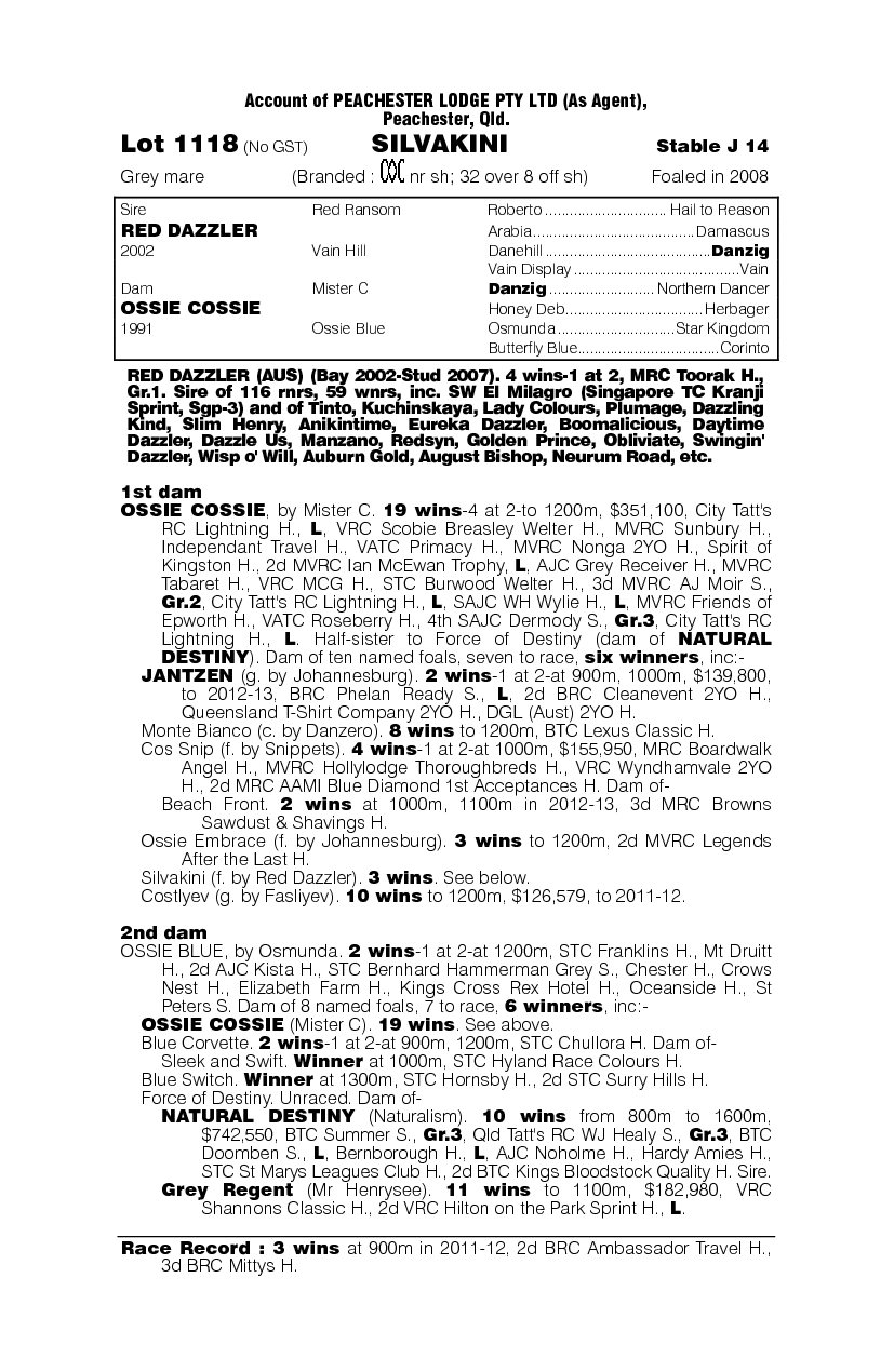 Silvakini - pedigree